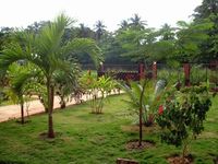 Garden of the Apart-Hotel CASA LILY AND COCO - Las Terrenas - Dominican Republic